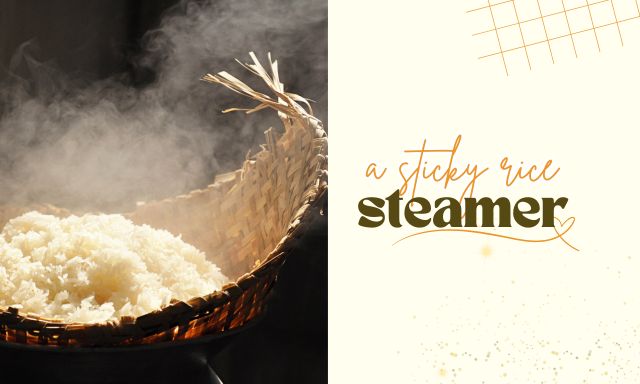 Best Sticky Rice Steamer Guide [2024]: How to Choose & Use